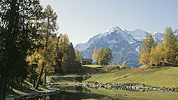mountain lake of Grächen with alpine valaisan Alps